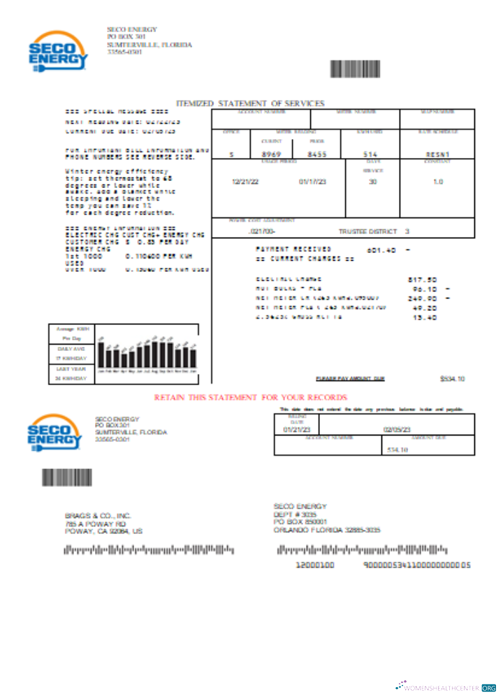 Download Seco Energy utility business bill, SCR Photoshop template